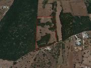 Terreno in vendita a Alberobello BA