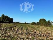 Terreno in vendita a Albignasego PD