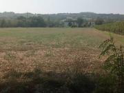 Terreno in vendita a Albinea RE