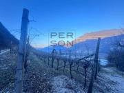 Terreno in vendita a Aldeno TN