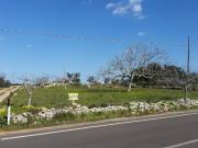 Terreno in vendita a Alessano LE