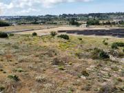 Terreno in vendita a Alessano LE