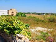 Terreno in vendita a Alessano LE