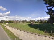 Terreno Agricolo in vendita a Alezio