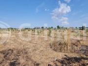 Terreno in vendita a Alezio LE