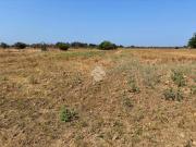 Terreno in vendita a Alezio LE