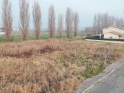 Terreno in vendita a Alfianello BS