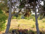 Terreno in vendita a Alghero SS