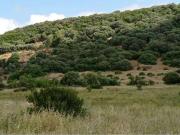 Terreno in vendita a Alghero SS