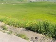 Terreno in vendita a Altamura BA