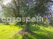 Terreno in vendita a Altavilla Milicia PA