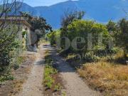 Terreno in vendita a Altavilla Milicia PA