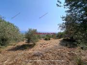 Terreno in vendita a Altavilla Milicia PA