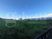 Terreno in vendita a Alvignano CE