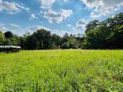 Terreno in vendita a Alzano Lombardo BG