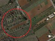 Terreno in vendita a Andrano LE