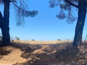 Terreno in vendita a Anguillara Sabazia RM