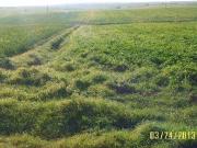 Terreno in vendita a Anguillara Sabazia RM