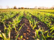 Terreno in vendita a Anzano del Parco CO