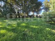 Terreno in vendita a Anzio RM