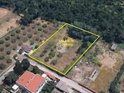 Terreno in vendita a Anzio RM