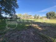 Terreno in vendita a Anzio RM