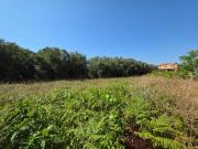 Terreno in vendita a Anzio RM