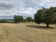 Terreno in vendita a Aprilia LT