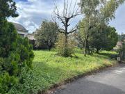 Terreno in vendita a Arcisate VA