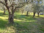 Terreno in vendita a Arco TN