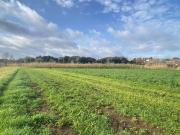 Terreno in vendita a Ardea RM