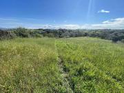 Terreno in vendita a Ardea RM