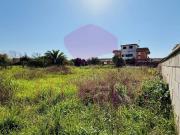 Terreno in vendita a Ardea RM