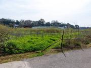 Terreno in vendita a Ardea RM