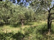 Terreno in vendita a Arezzo AR