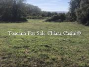 Terreno in vendita a Arezzo AR