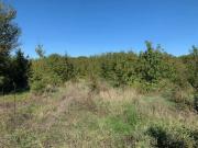 Terreno in vendita a Arezzo AR