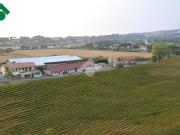 Terreno in vendita a Ariccia RM