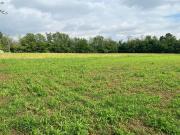 Terreno in vendita a Arluno MI