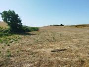 Terreno in vendita a Artena RM