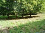 Terreno in vendita a Arvier AO