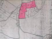 Terreno in vendita a Ascea SA