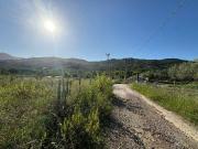 Terreno in vendita a Ascea SA