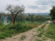 Terreno in vendita a Assisi PG