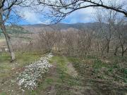 Terreno in vendita a Avella AV