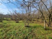 Terreno in vendita a Avellino AV