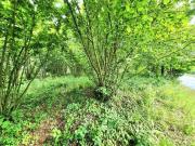 Terreno in vendita a Avellino AV