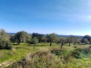 Terreno in vendita a Avola SR