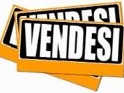 Terreno in vendita a Badia Polesine RO