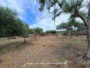 Terreno in vendita a Bagheria PA